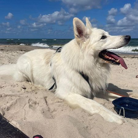 Dogs Welcome! Domek Na Zacisznej Pogorzelica  Eksteriør bilde